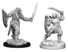 D&D Nolzur's Marvelous Miniatures - Dragonborn Paladin Female