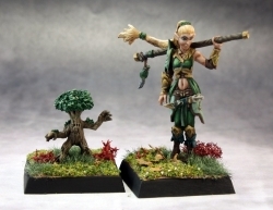 Pathfinder Druid and Familiar