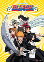 Bleach Group - Wall Scroll 33