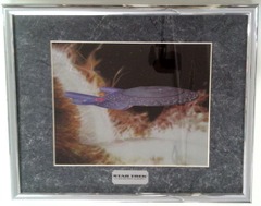 RJ0138: Star Trek: U.S.S. Enterprise NCC-1701-D: Framed: 11 x 14 Matted Chromium Print: COA