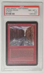 V0148: 1993 Raging River - Alpha - PSA: 8.5: NM-MT+: 14953641