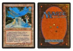 Rainbow Vale: V0776: Signed/Autographed: Kaja Foglio: Black