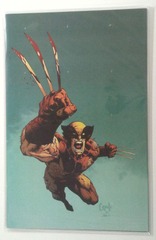 C0520: Wolverine: #37: Virgin Variant: 7.0 VF+