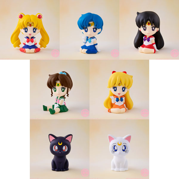 Sailor Moon 10Pack BOX