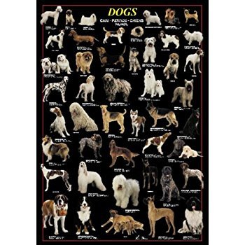 Ricordi Puzzles Puzzle: 1000 Dogs
