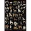 Ricordi Puzzles Puzzle: 1000 Dogs