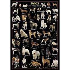 Ricordi Puzzles Puzzle: 1000 Dogs