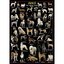 Ricordi Puzzles Puzzle: 1000 Dogs